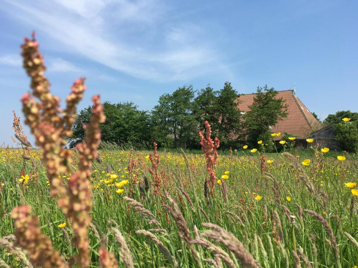 B&B Boerderij De Tempel Greonterp Екстериор снимка