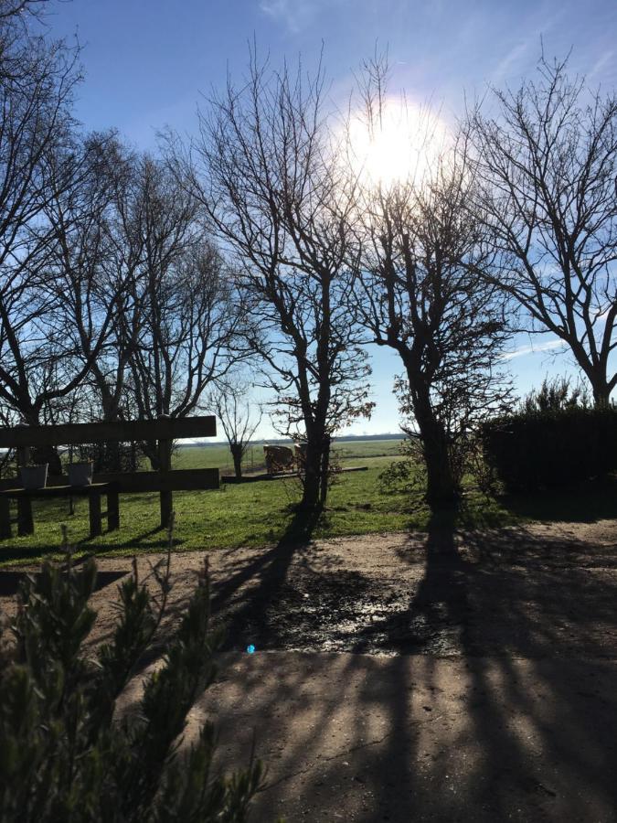 B&B Boerderij De Tempel Greonterp Екстериор снимка